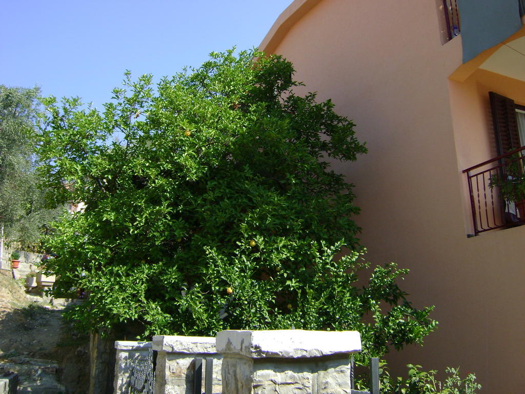 Apartments Kovacevic Petrovac Extérieur photo